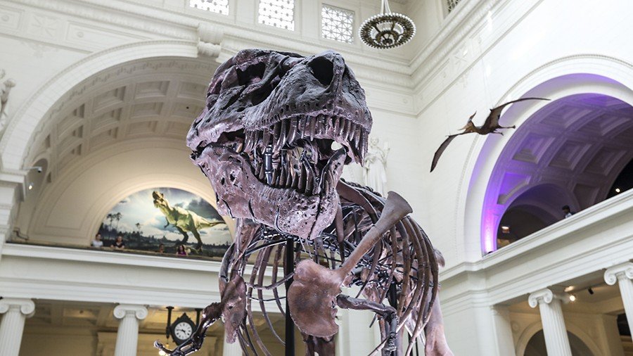 Cool Facts About Giganotosaurus