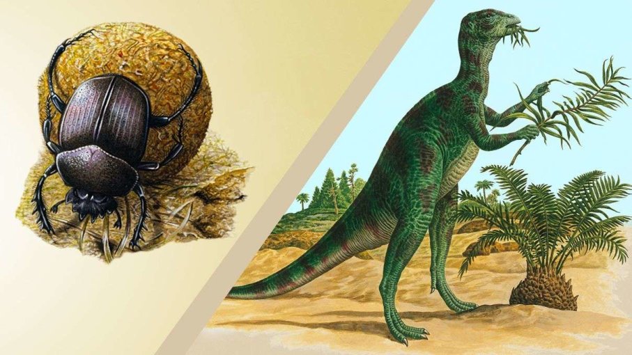 What Dinosaur Poop Tells Us About Ancient Life?