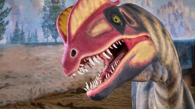 collection of dinosaur swim tracks 