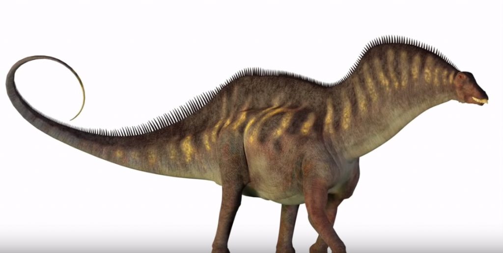 Amargasaurus 