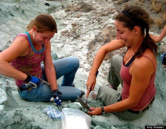 paleontology degree