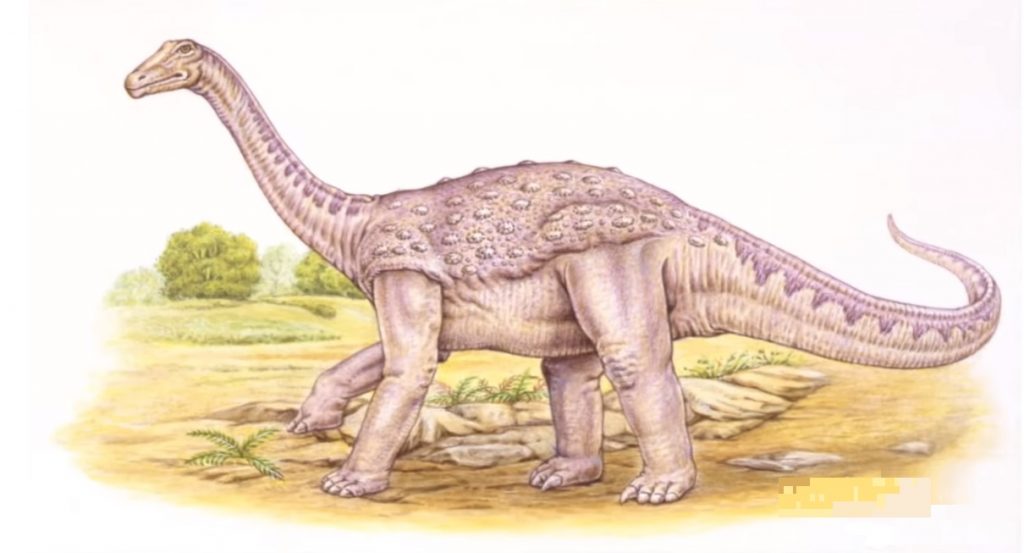 Saltasaurus