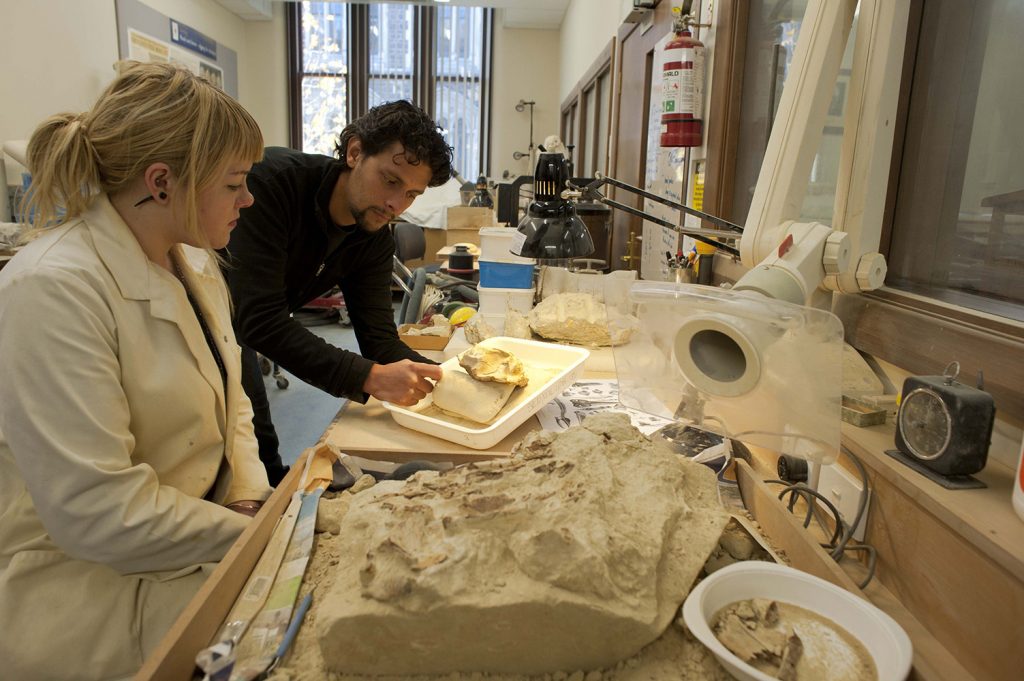paleontology degree