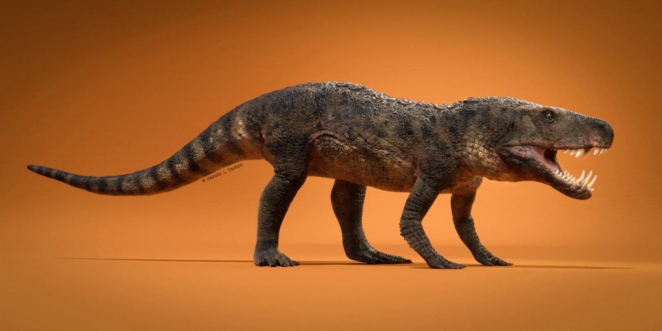 dynamosuchuscollisensi