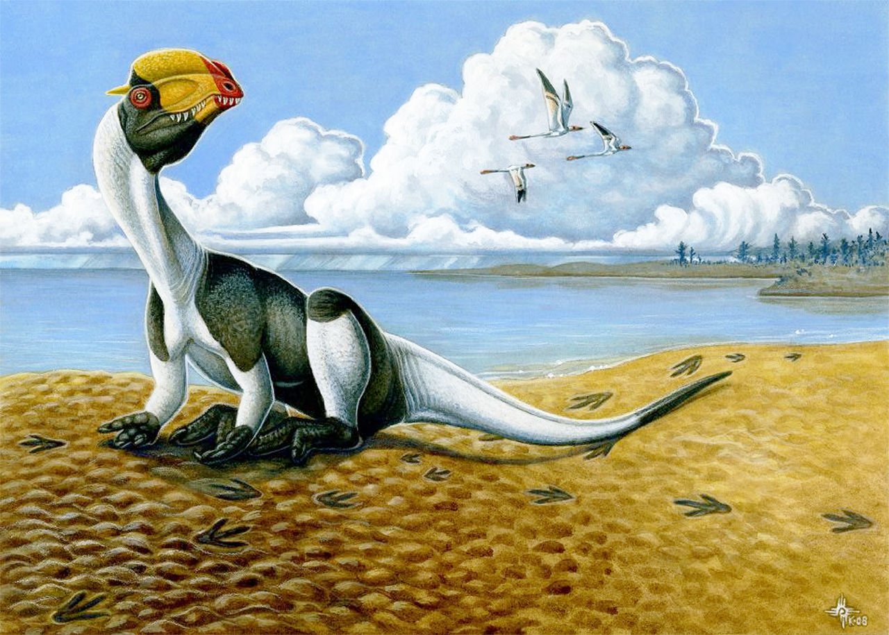 Dilophosaurus-Restoration