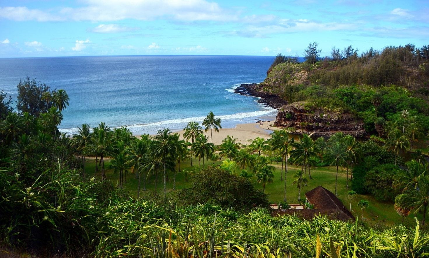 Allerton-Garden-Kauai