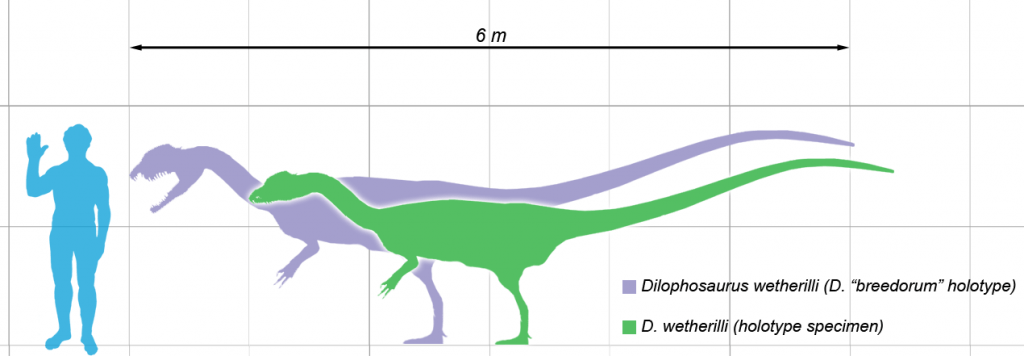 Dilophosaurus-scale