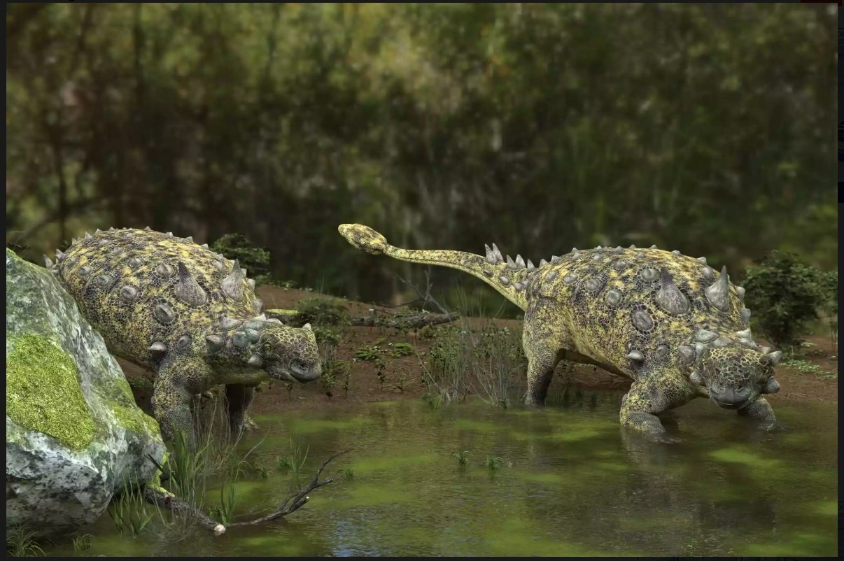 Euoplocephalus