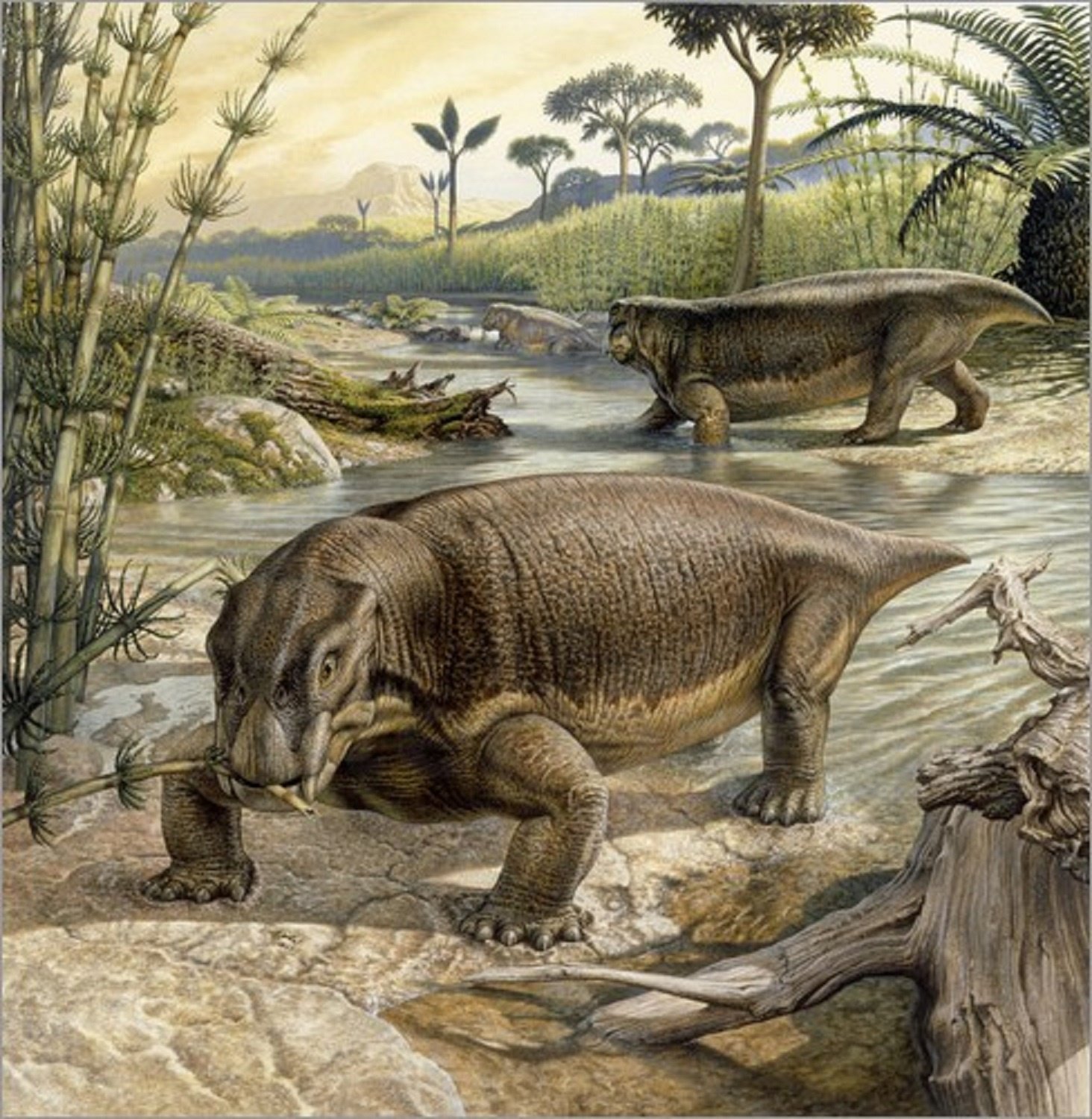 dicinodontos-therapsid-Triassic-period