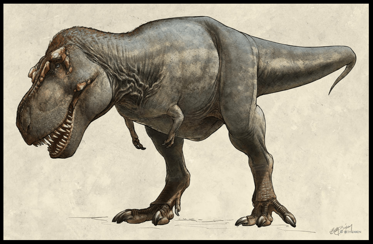 biggest T. rex