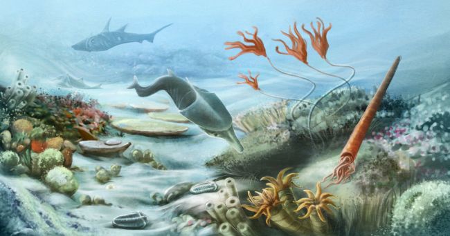 life under water