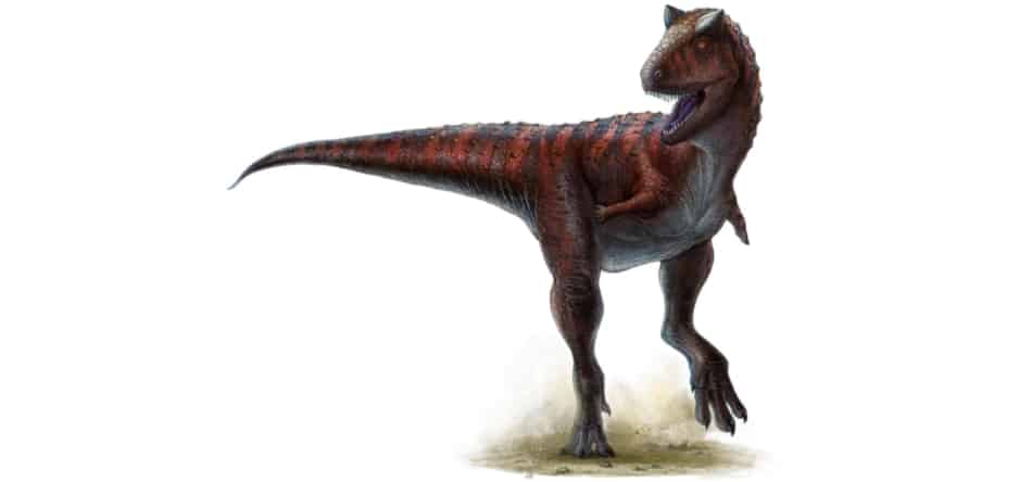 theorpod-carnotaurus