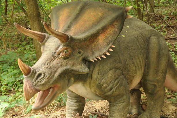 Chasmosaurus by Ricky Beckett
