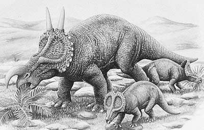 Einiosaurus 