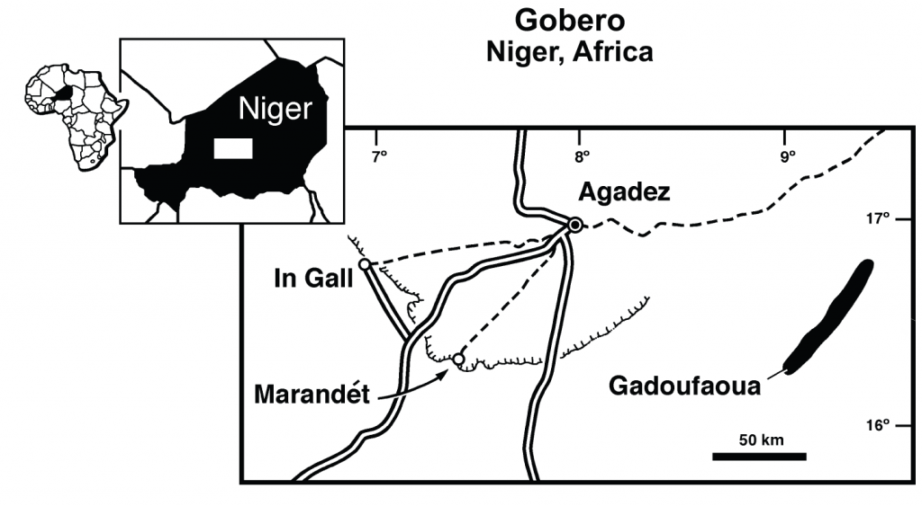 Location of Gadoufaoua in Niger 