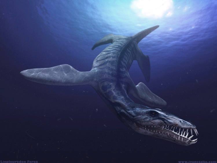 Liopleurodon