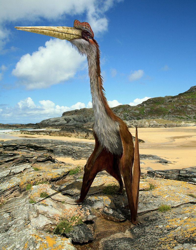 Quetzalcoatlus-by-johnson-mortimer