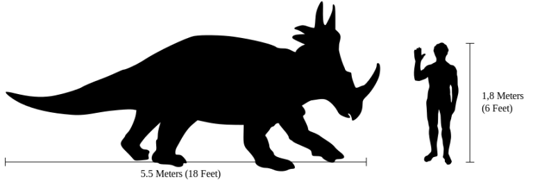 Styracosaurus-size