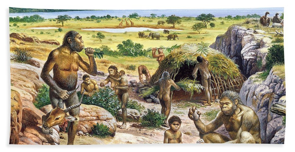 Quaternary Period