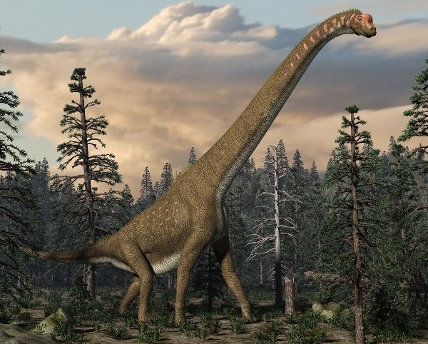 Giraffatitan