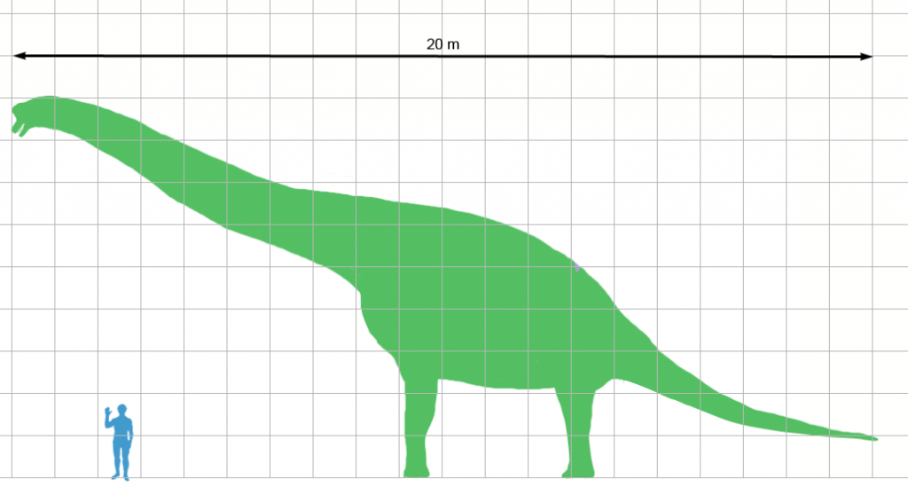 Giraffatitan size