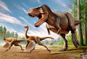 Did Dinosaurs Really Have Feathers
