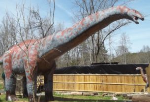 Apatosaurus