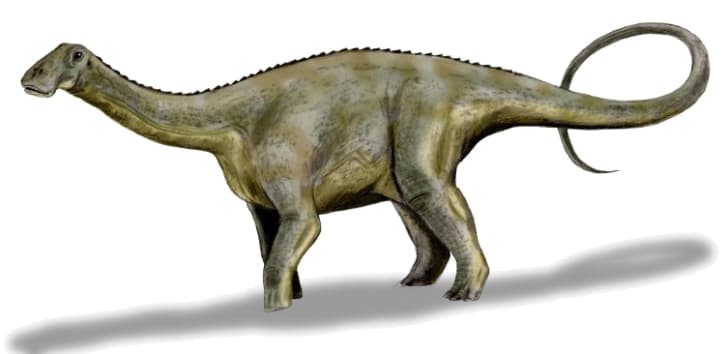 Nigersaurus was Fairly Light-Headed
