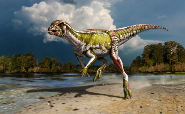 Smaller dinosaurs