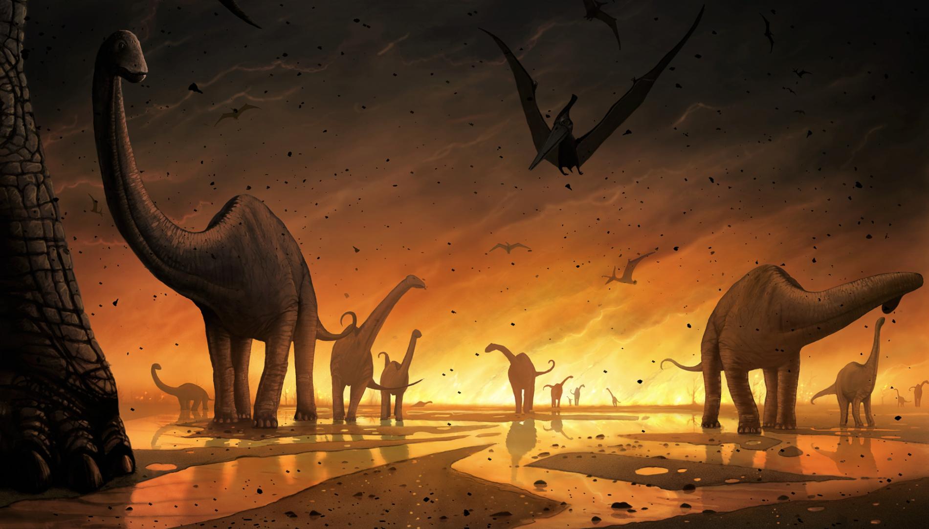 Theories about extinction