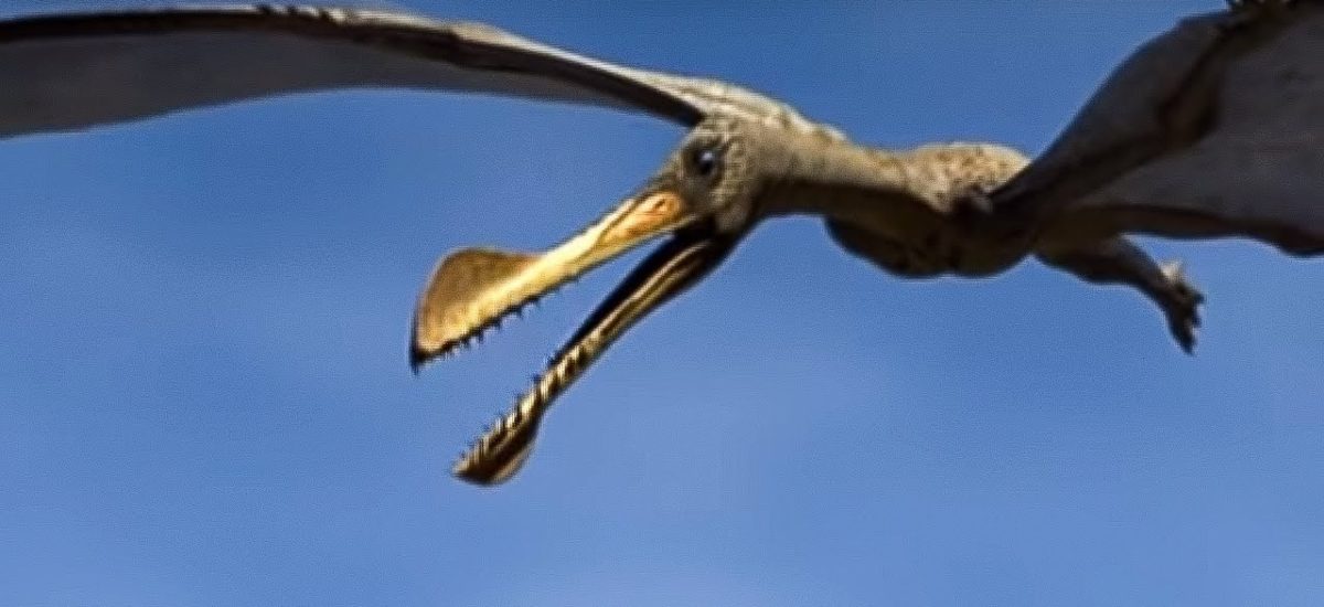 Flying dinosaurs